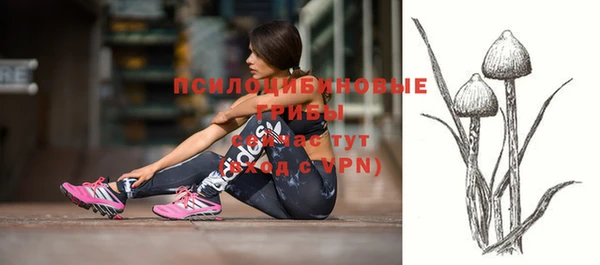 прущие крисы Беломорск