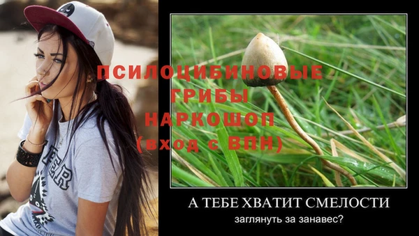 прущие крисы Беломорск