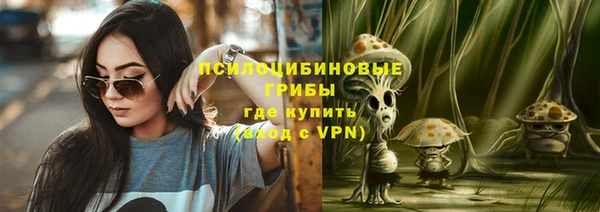 гидропоника Белокуриха